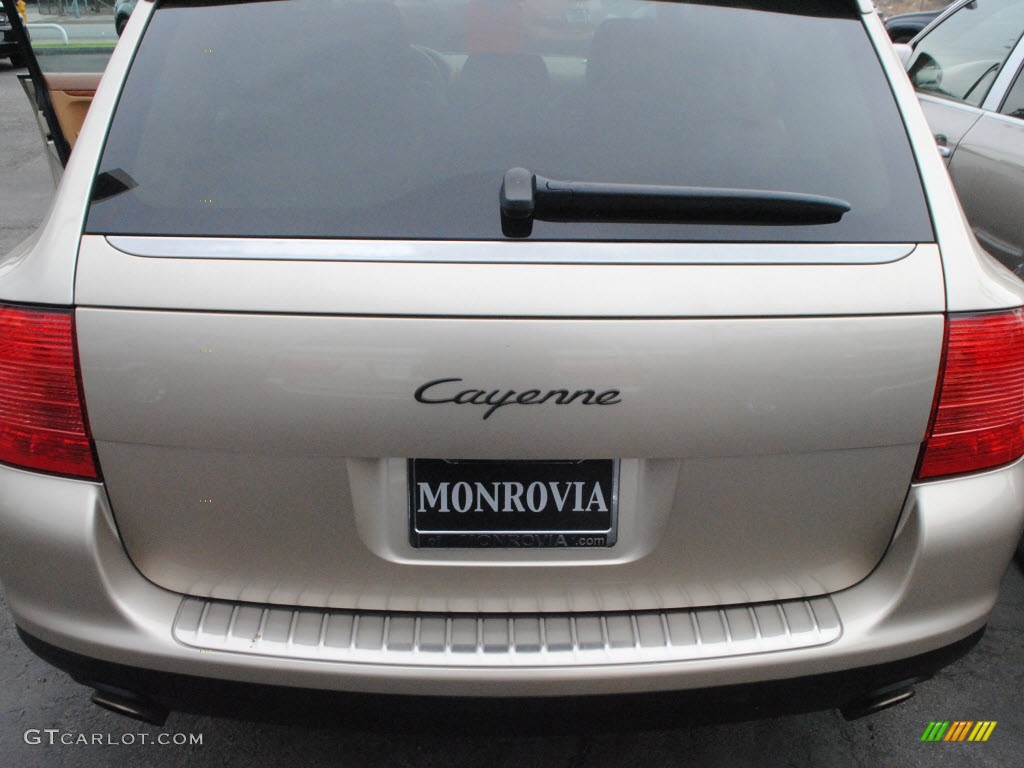 2004 Cayenne Tiptronic - Prosecco Metallic / Havanna/Sand Beige photo #8