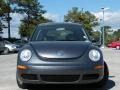 Platinum Grey - New Beetle 2.5 Coupe Photo No. 8