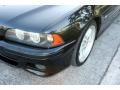 2003 Black Sapphire Metallic BMW 5 Series 540i Sedan  photo #20