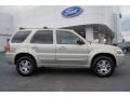 2005 Gold Ash Metallic Ford Escape Limited 4WD  photo #1
