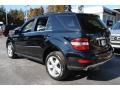 Black - ML 350 4Matic Photo No. 4