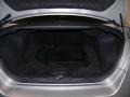 Liquid Silver Metallic - Maxima 3.5 SE Photo No. 14
