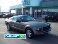 2005 Mineral Grey Metallic Ford Mustang V6 Deluxe Coupe  photo #1