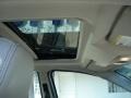 White Suede - Focus SEL Sedan Photo No. 20