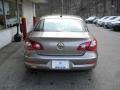 Light Brown Metallic - CC Luxury Photo No. 6