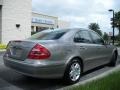Pewter Silver Metallic - E 320 Sedan Photo No. 6