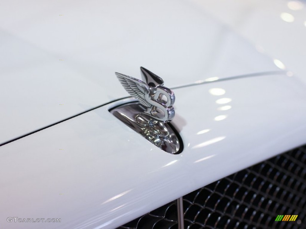 2009 Bentley Brooklands Standard Brooklands Model Marks and Logos Photo #60817650