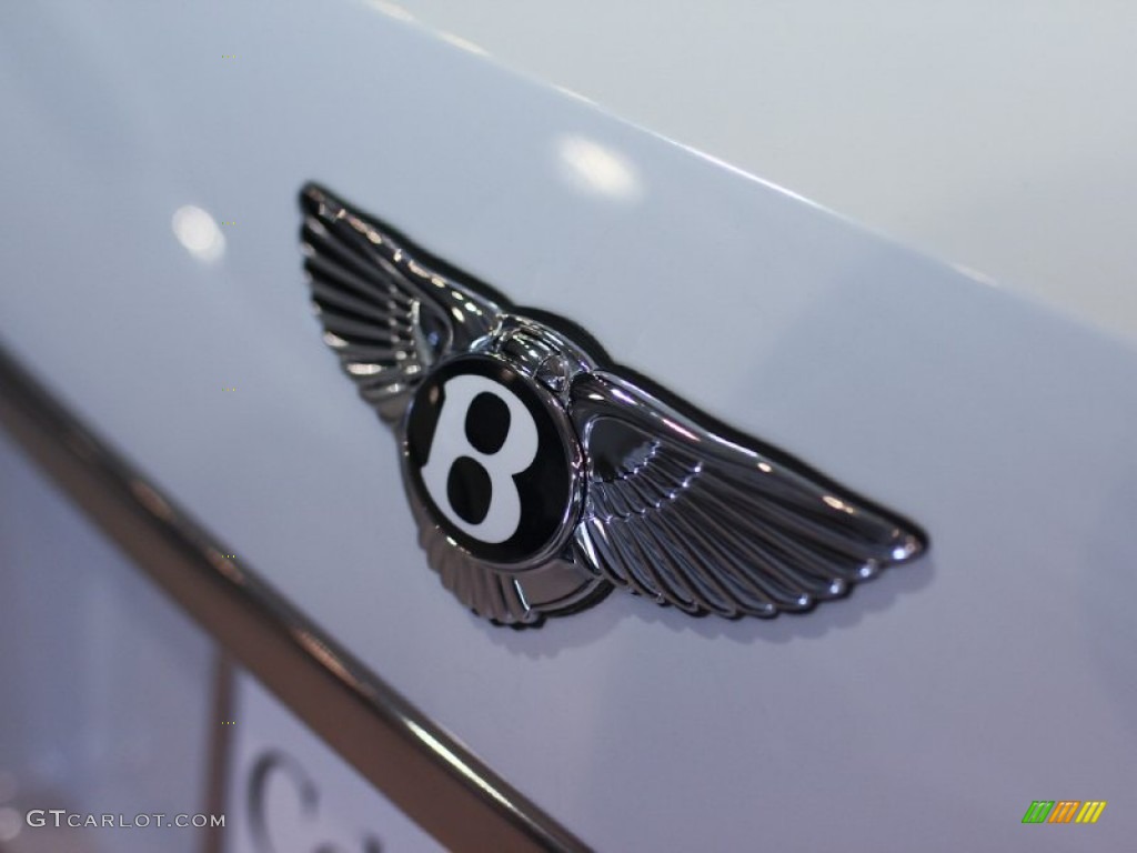 2009 Bentley Brooklands Standard Brooklands Model Marks and Logos Photo #60817818