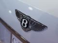 2009 Bentley Brooklands Standard Brooklands Model Badge and Logo Photo