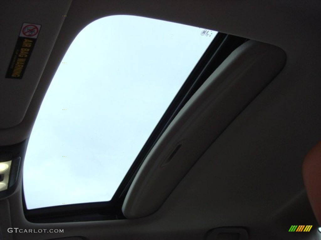 2009 Acura TL 3.7 SH-AWD Sunroof Photo #60822571