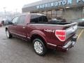 2009 Royal Red Metallic Ford F150 Platinum SuperCrew 4x4  photo #2