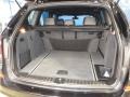 2011 BMW X3 Black Nevada Leather Interior Trunk Photo