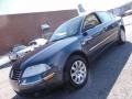 Blue Anthracite Pearl - Passat GLS Sedan Photo No. 3