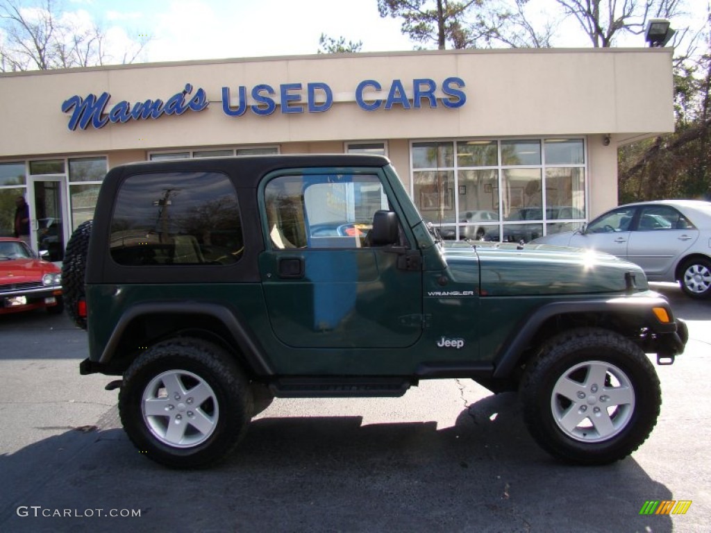 2001 Wrangler SE 4x4 - Forest Green / Camel photo #1