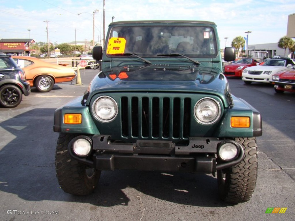 2001 Wrangler SE 4x4 - Forest Green / Camel photo #2