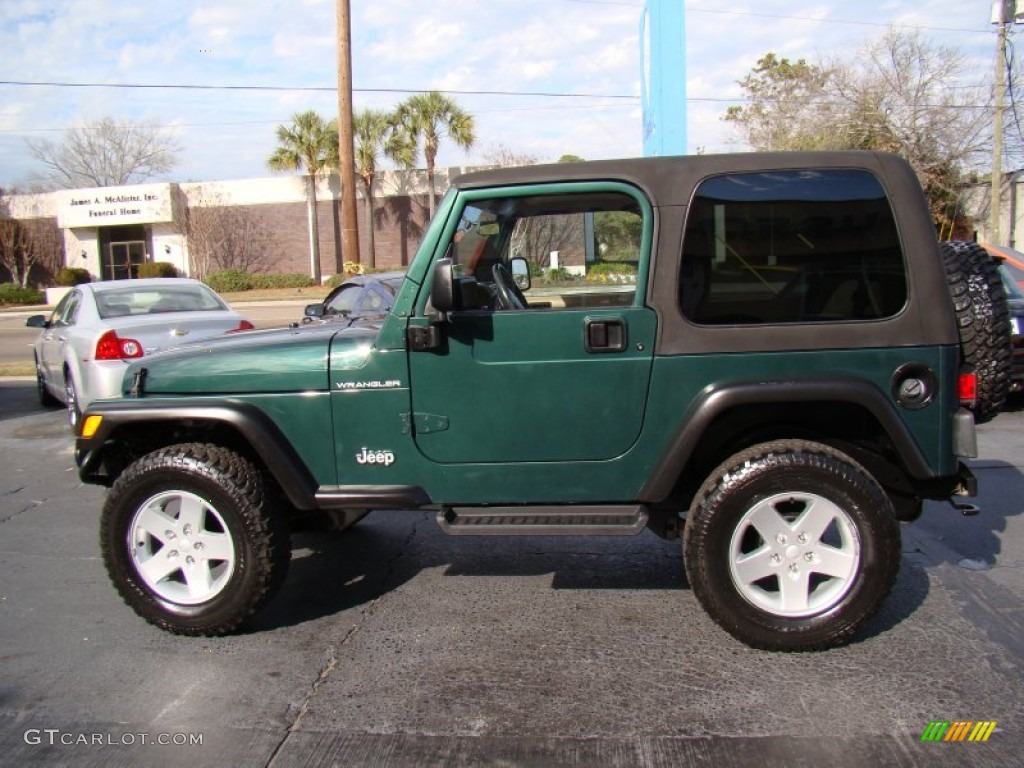 2001 Wrangler SE 4x4 - Forest Green / Camel photo #4