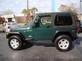 Forest Green - Wrangler SE 4x4 Photo No. 4