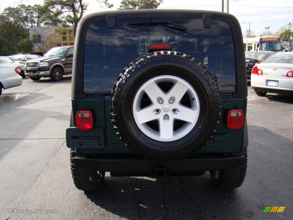 2001 Wrangler SE 4x4 - Forest Green / Camel photo #6