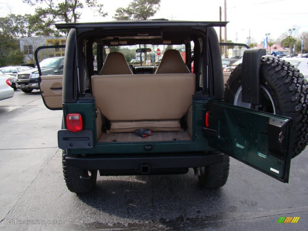 2001 Wrangler SE 4x4 - Forest Green / Camel photo #10