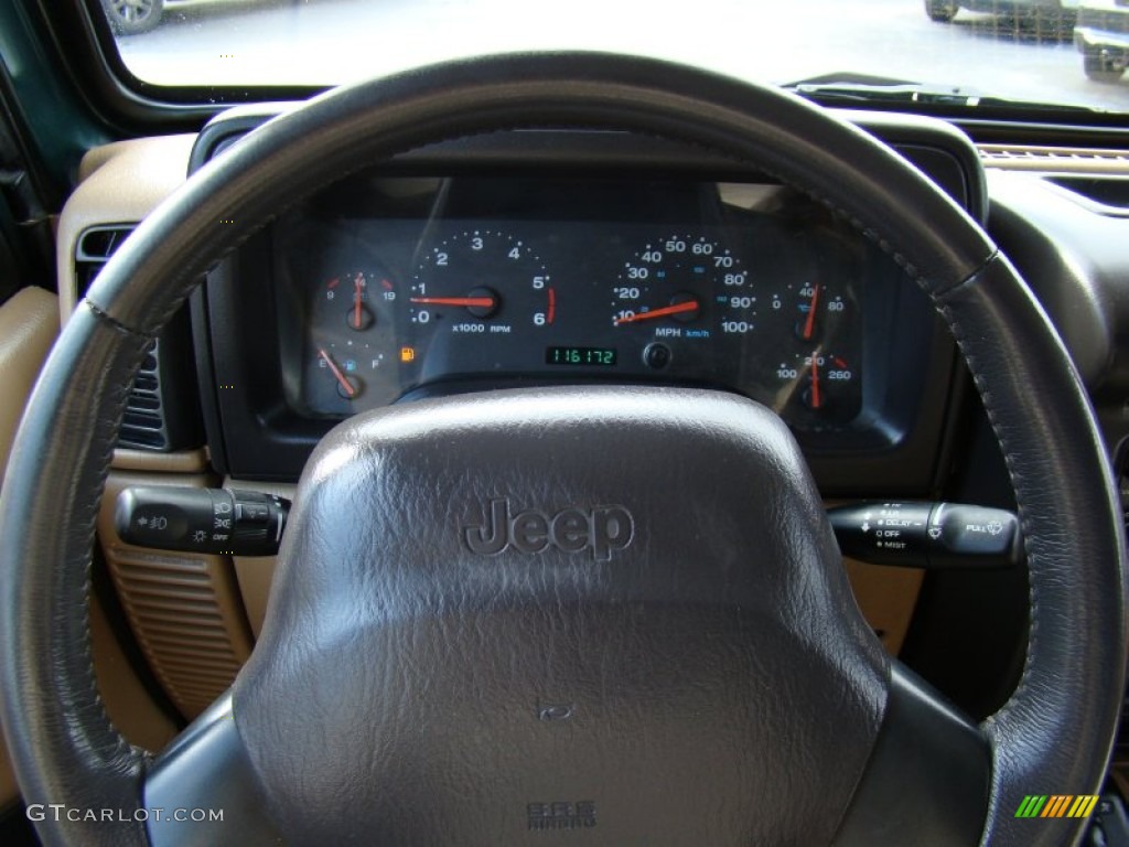2001 Wrangler SE 4x4 - Forest Green / Camel photo #18