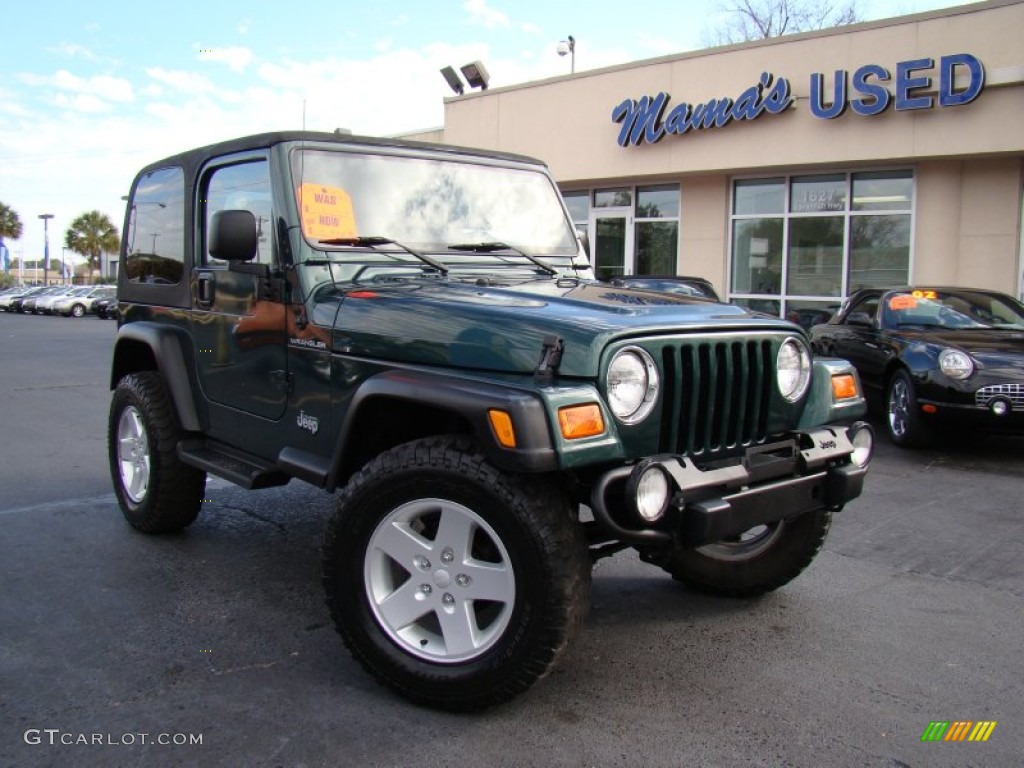 2001 Wrangler SE 4x4 - Forest Green / Camel photo #24