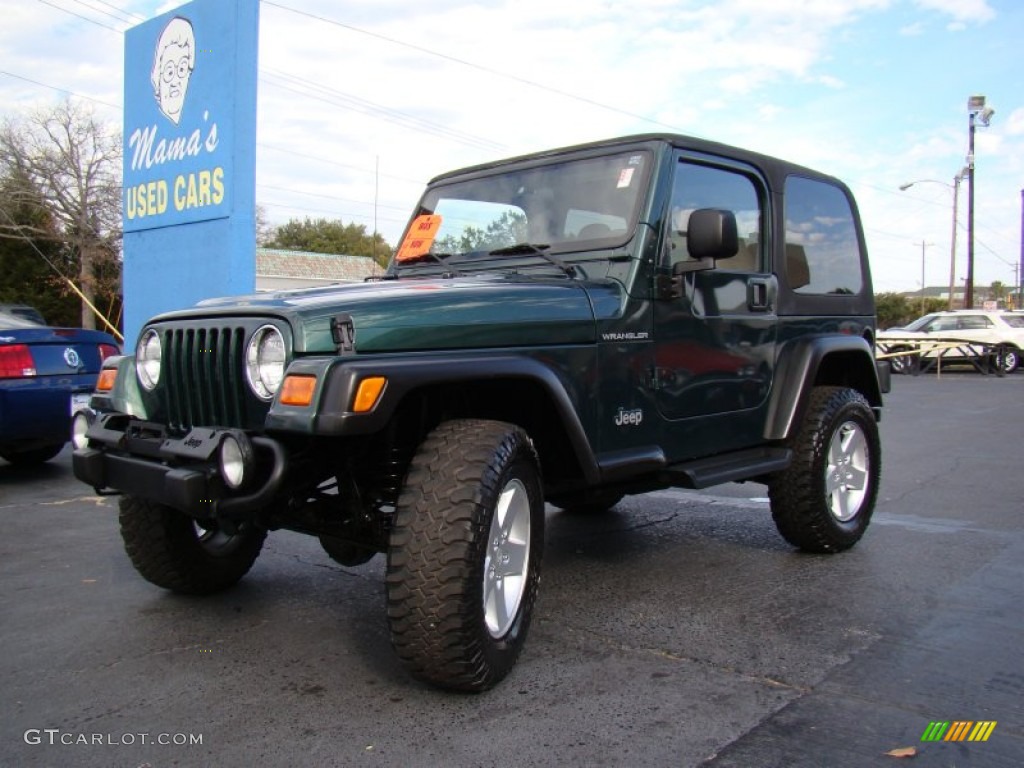 2001 Wrangler SE 4x4 - Forest Green / Camel photo #25