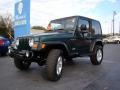 Forest Green - Wrangler SE 4x4 Photo No. 25