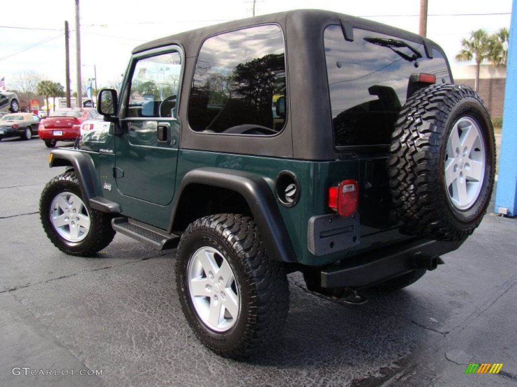 2001 Wrangler SE 4x4 - Forest Green / Camel photo #26