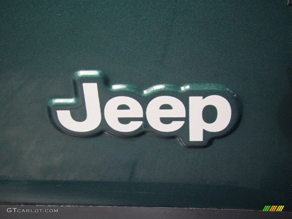 2001 Wrangler SE 4x4 - Forest Green / Camel photo #27