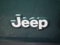 Forest Green - Wrangler SE 4x4 Photo No. 27