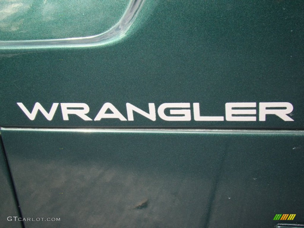 2001 Wrangler SE 4x4 - Forest Green / Camel photo #28