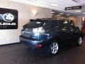 Flint Gray Mica - RX 330 AWD Photo No. 2