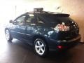 Flint Gray Mica - RX 330 AWD Photo No. 4