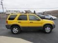 2002 Chrome Yellow Ford Escape XLT V6 4WD  photo #4