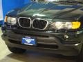 Oxford Green Metallic - X5 3.0i Photo No. 5