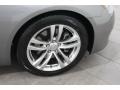 Platinum Graphite Gray - G 37 Coupe Photo No. 24