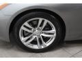Platinum Graphite Gray - G 37 Coupe Photo No. 26