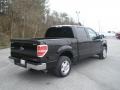 Ebony Black - F150 XLT SuperCrew Photo No. 3