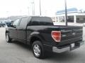 Ebony Black - F150 XLT SuperCrew Photo No. 11