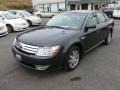 Alloy Grey Metallic - Taurus SEL Photo No. 3