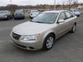 Camel Pearl - Sonata GLS Photo No. 3