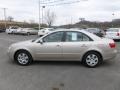Camel Pearl - Sonata GLS Photo No. 4