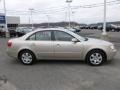 Camel Pearl - Sonata GLS Photo No. 8