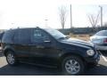 Black - ML 350 4Matic Photo No. 3