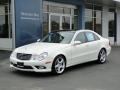 Arctic White - E 350 Sedan Photo No. 42