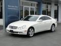 2009 Arctic White Mercedes-Benz CLS 550  photo #40