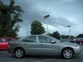 Willow Green Metallic - S60 2.5T Photo No. 4