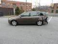 Toffee Brown Metallic - Jetta TDI SportWagen Photo No. 11