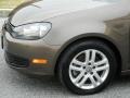 Toffee Brown Metallic - Jetta TDI SportWagen Photo No. 19