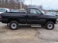 1996 Black Dodge Ram 1500 LT Regular Cab 4x4  photo #3